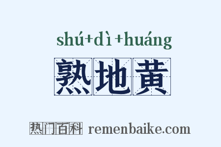 熟地黄是什么意思的图片